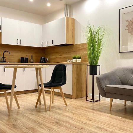 Nowoczesny Apartament W Dzierzoniowie - Parter - Balkon - Pokoj + Sypialnia ภายนอก รูปภาพ